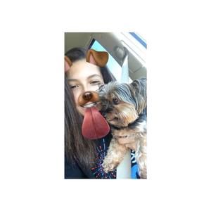 Meet your Posher, Jules